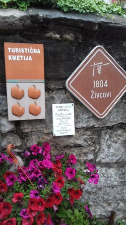 Apartmaji Pri Zivcovih Dutovlje Exterior foto
